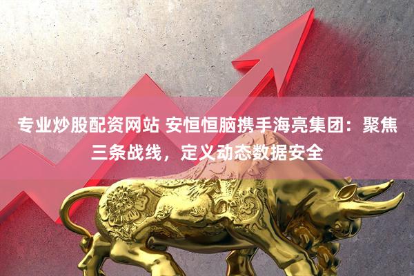 专业炒股配资网站 安恒恒脑携手海亮集团：聚焦三条战线，定义动态数据安全